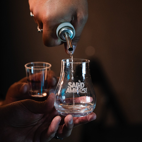Salud Amigo! Festival Topo Event